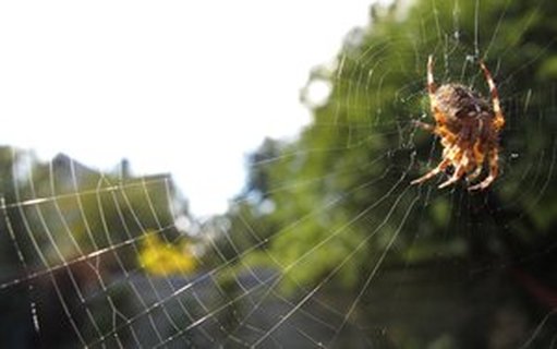 云计算应用基础知识介绍：你需要知道的一切